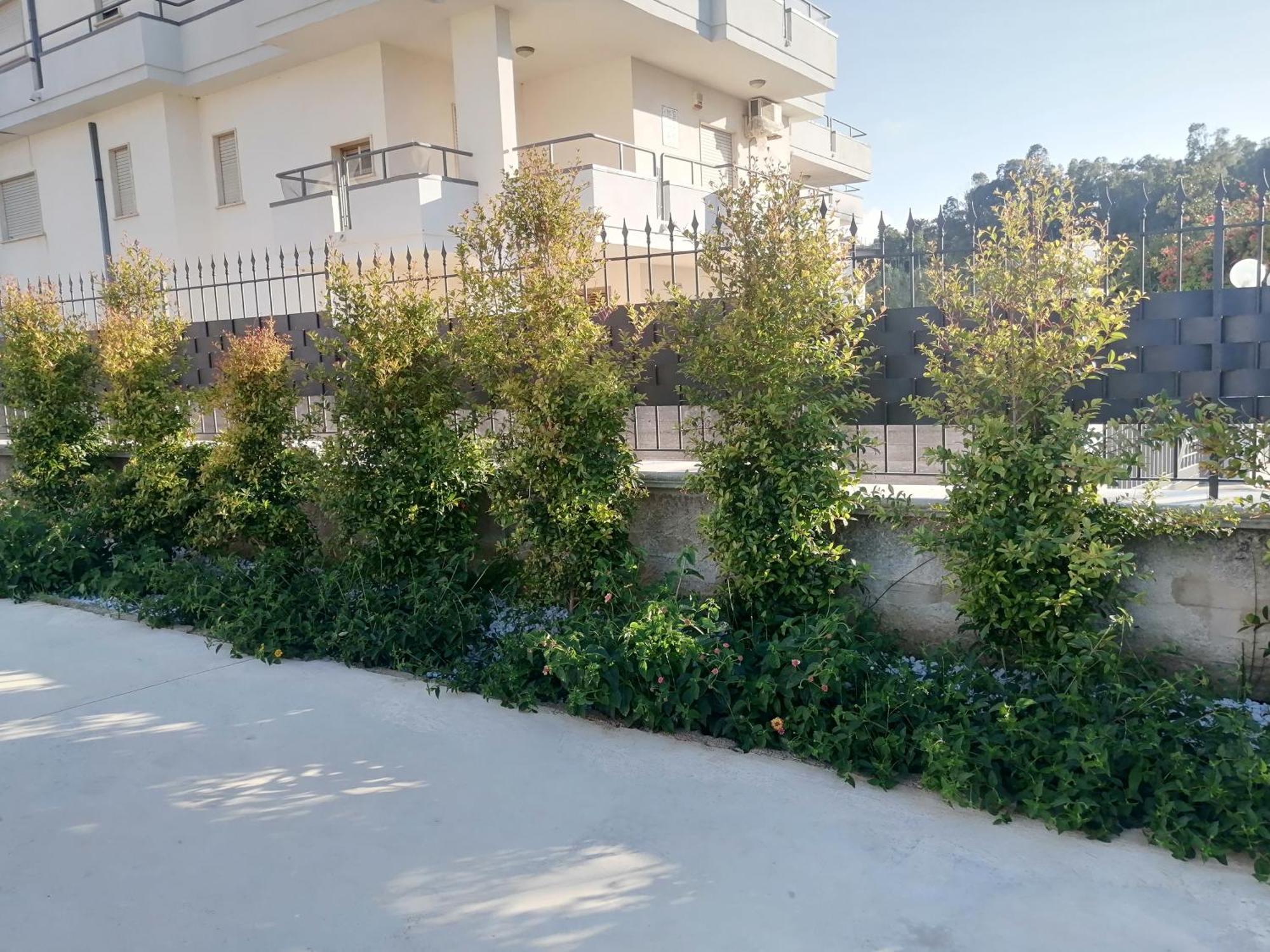 Residence Mare Azzurro Balestrate Exterior photo